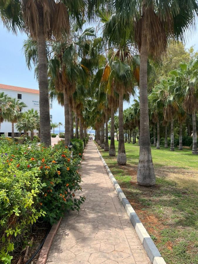 Anmaria Beach Hotel & Spa Ayia Napa Bagian luar foto