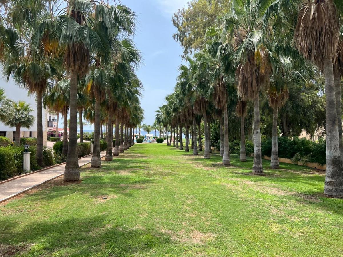 Anmaria Beach Hotel & Spa Ayia Napa Bagian luar foto